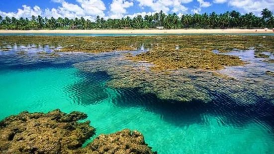 Taipu de Fora, na maré baixa a barreira de corais revela imensas piscinas naturais, que se transformam em verdadeiros aquários cheios de vida marinha - Divulgação