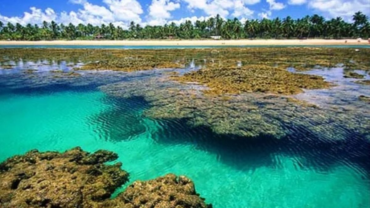 Taipu de Fora, na maré baixa a barreira de corais revela imensas piscinas naturais, que se transformam em verdadeiros aquários cheios de vida marinha - Divulgação