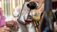 Vinhos paulistas estão em momento de destaque recendo prêmios internacionais - Envato