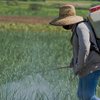A partir de 15 de setembro de 2025, empresas que querem o registro de agrotóxicos deverão protocolar seus processos de registros junto ao Ministério - Envato