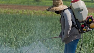 A partir de 15 de setembro de 2025, empresas que querem o registro de agrotóxicos deverão protocolar seus processos de registros junto ao Ministério - Envato
