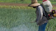 A partir de 15 de setembro de 2025, empresas que querem o registro de agrotóxicos deverão protocolar seus processos de registros junto ao Ministério - Envato