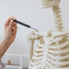 A osteoporose é uma condição que fragiliza os ossos e aumenta as chances de fraturas - Foto: Envato Elements