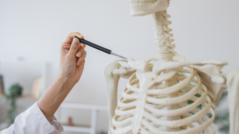 A osteoporose é uma condição que fragiliza os ossos e aumenta as chances de fraturas - Foto: Envato Elements