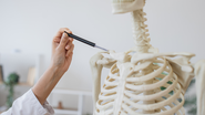 A osteoporose é uma condição que fragiliza os ossos e aumenta as chances de fraturas - Foto: Envato Elements