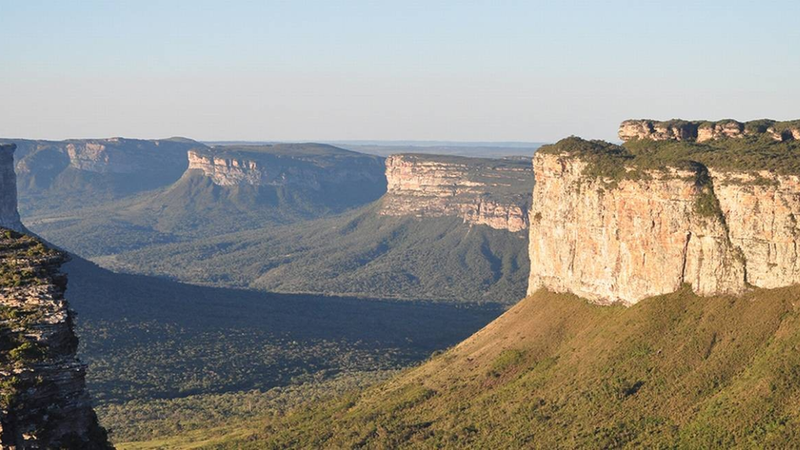 O bioma da Caatinga guarda experiências únicas para quem deseja conhecer um Brasil autêntico - Foto: Guia Chapada Diamantina