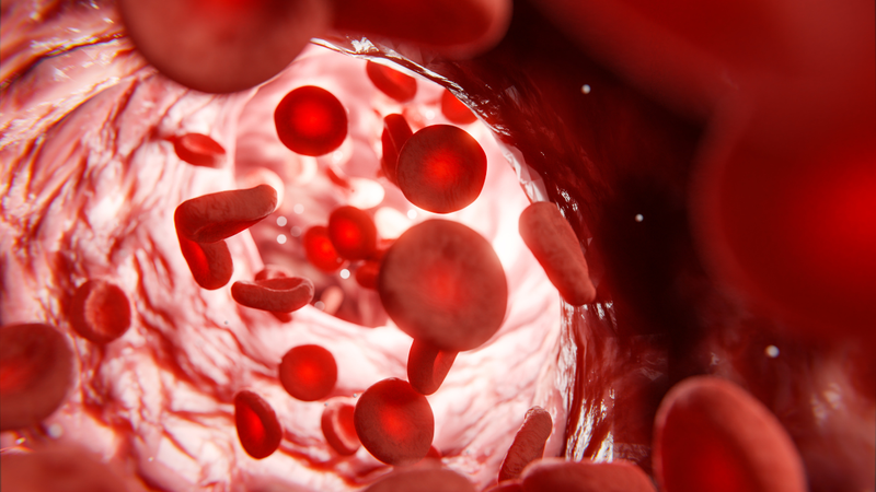 A anemia é um problema de saúde pública que atinge milhões de pessoas no Brasil e no mundo - Foto: Envato Elements