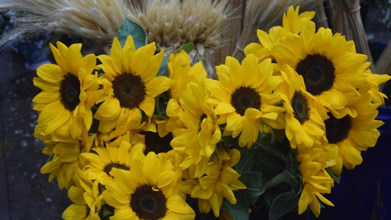 Ao longo do ano, são comercializadas no atacado e no varejo da CEAGESP mais de 15 mil toneladas de flores - Divulgação