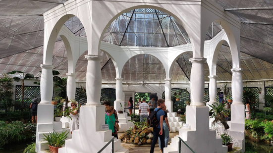 Mais do que pontos turísticos, esses espaços se consolidam como centros de preservação da biodiversidade - Foto: Ester Santos