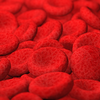 O transplante de medula óssea é fundamental no tratamento de doenças que afetam a produção de células sanguíneas - Foto: Envato Elements