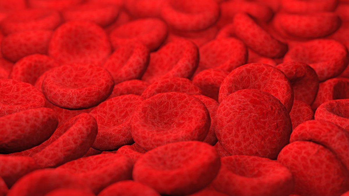 O transplante de medula óssea é fundamental no tratamento de doenças que afetam a produção de células sanguíneas - Foto: Envato Elements