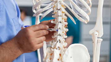 Fase inicial do estudo busca provar que o medicamento é seguro para uso em humanos - Foto: Envato Elements