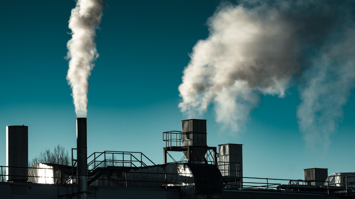 Cerca de 25% dos casos de câncer de pulmão no mundo afetam pessoas que nunca fumaram - Foto: Envato Elements