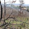 São Paulo e outros 6 estados registraram seca em 100% de seu território, segundo o Monitor de Secas, da ANA - Rovena Rosa/Agência Brasil