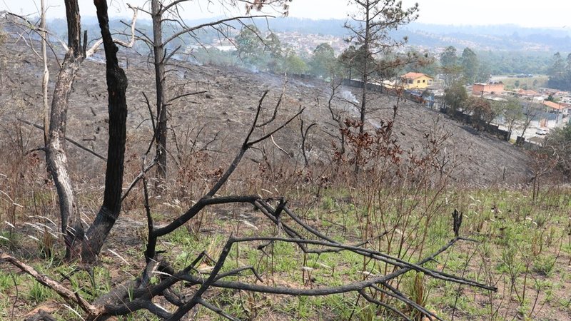 São Paulo e outros 6 estados registraram seca em 100% de seu território, segundo o Monitor de Secas, da ANA - Rovena Rosa/Agência Brasil
