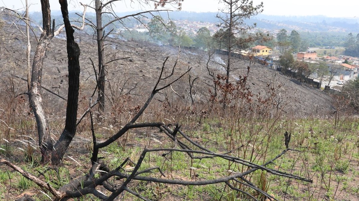 São Paulo e outros 6 estados registraram seca em 100% de seu território, segundo o Monitor de Secas, da ANA - Rovena Rosa/Agência Brasil