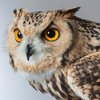 As equipes registraram o instante em que os filhotes utilizaram o chamado "dente de ovo" - estrutura temporária que ajuda as aves a romper a casca - Envato