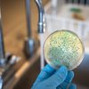 Segundo a OMS, problema é pior onde os sistemas de saúde têm pouca estrutura para identificar ou tratar infecções bactrianas - Envato