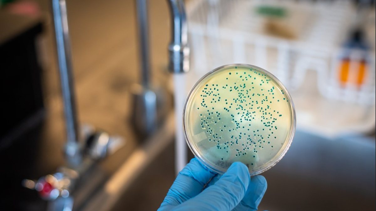 Segundo a OMS, problema é pior onde os sistemas de saúde têm pouca estrutura para identificar ou tratar infecções bactrianas - Envato