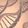 Nova abordagem permitiria que mulheres mais maduras ou que não produzem óvulos se reproduzissem geneticamente - Envato