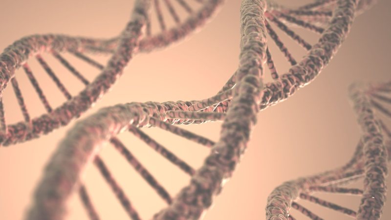 Nova abordagem permitiria que mulheres mais maduras ou que não produzem óvulos se reproduzissem geneticamente - Envato