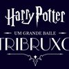 A atração será montada no Shopping Cidade São Paulo e público pode vir a caráter - Foto: reprodução Harry Potter A Yule Ball Celebration