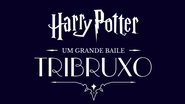 A atração será montada no Shopping Cidade São Paulo e público pode vir a caráter - Foto: reprodução Harry Potter A Yule Ball Celebration