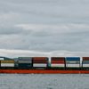 Segundo o IBGE, exportações de madeira caíram 8,6% de julho para agosto; para o Instituto, situação ainda é pontual - Julia Volk / Pexels