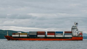 Segundo o IBGE, exportações de madeira caíram 8,6% de julho para agosto; para o Instituto, situação ainda é pontual - Julia Volk / Pexels