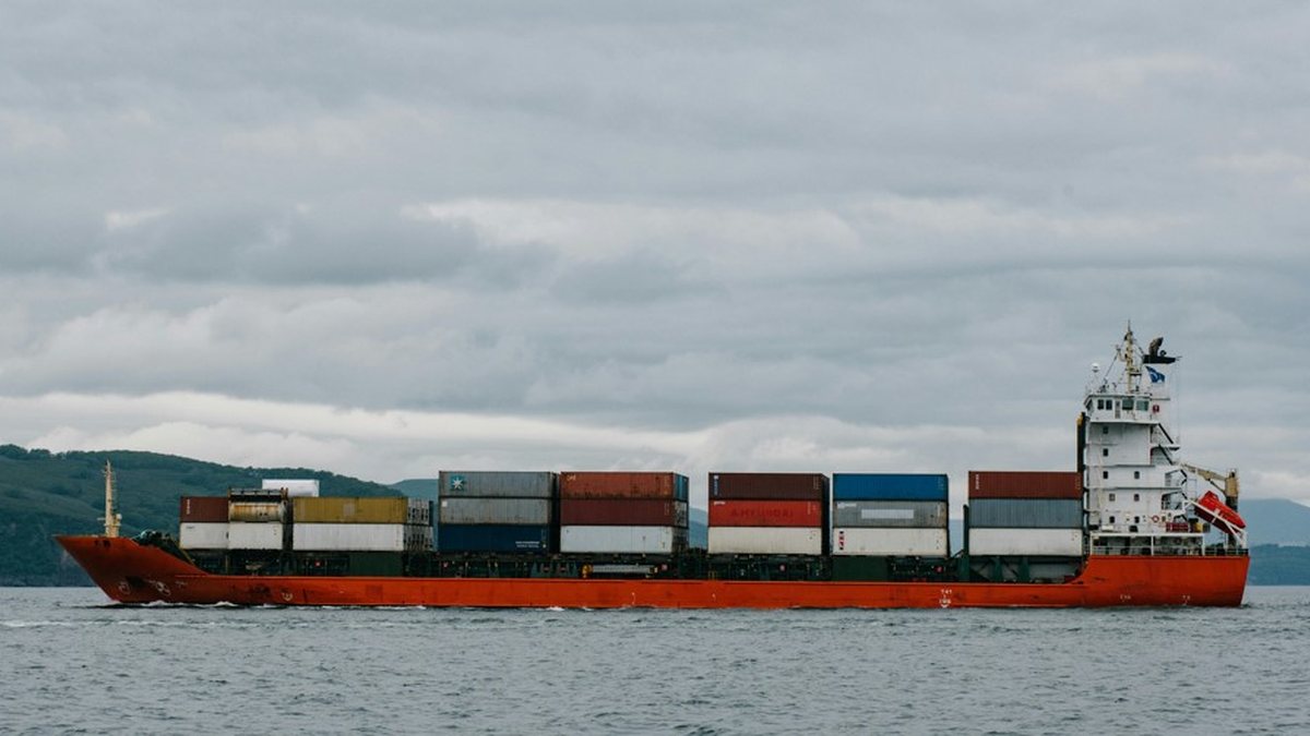 Segundo o IBGE, exportações de madeira caíram 8,6% de julho para agosto; para o Instituto, situação ainda é pontual - Julia Volk / Pexels