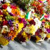 Flores brancas e amarelas estão entre as preferidas, por sua relação com sentimentos como paz, saudade, lembrança e respeito - Envato