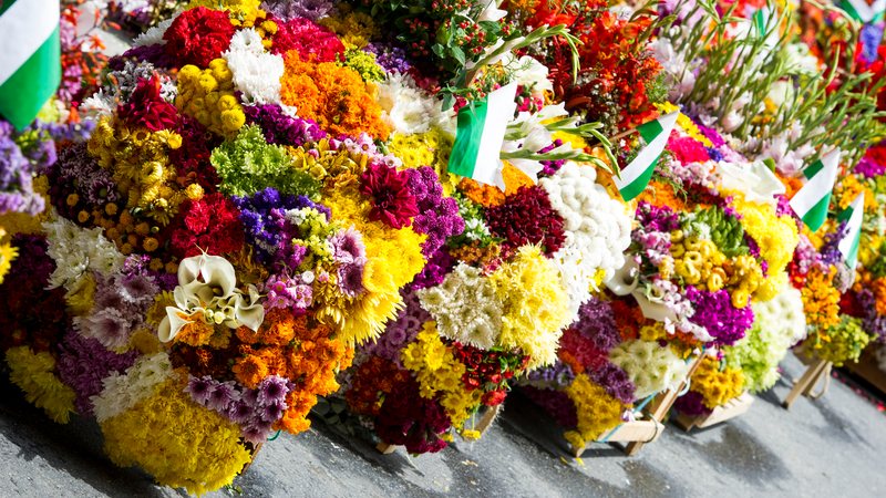 Flores brancas e amarelas estão entre as preferidas, por sua relação com sentimentos como paz, saudade, lembrança e respeito - Envato