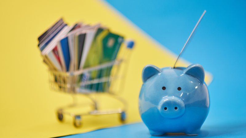 Em novembro você poderá renegociar dívidas como cartão de crédito em atraso, cheque especial e consignado em condições especiais - Adobe Stock