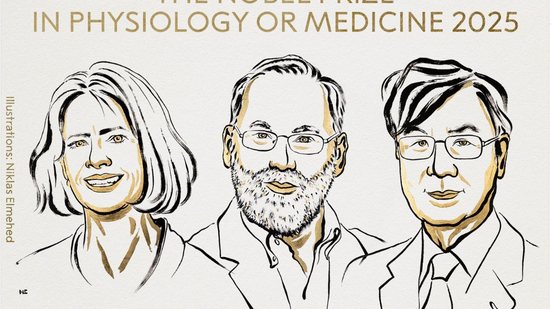 Ilustração divulgada pela página oficial do Prêmio Nobel mostra caricatura dos três ganhadores na categoria Medicina - Reprodução/Instagram/@NobelPrize