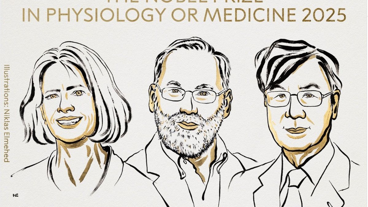 Ilustração divulgada pela página oficial do Prêmio Nobel mostra caricatura dos três ganhadores na categoria Medicina - Reprodução/Instagram/@NobelPrize