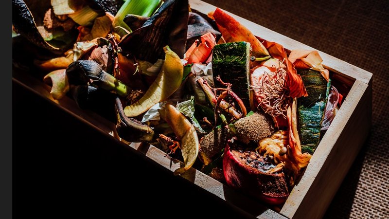 Ai preocupação com desperdícios de alimentos caiu de 99% em 2024 para 88% neste ano, de acordo com a Pesquisa Barômetro - Envato
