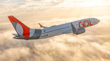 Segundo a companhia Gol, a aeronave apresentou uma falha técnica no sistema de refrigeração, o que fez a temperatura dentro da cabine chegar a 32°C - Divulgação/Gol