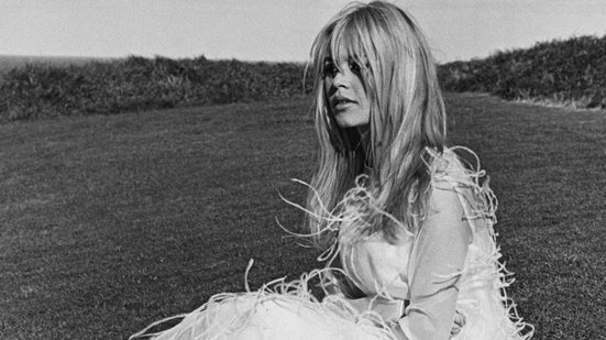 Aos 91 anos, a atriz francesa Brigitte Bardot vem enfrentando problemas de saúde recorrentes - Reprodução / Brigitte-Bardot.fr