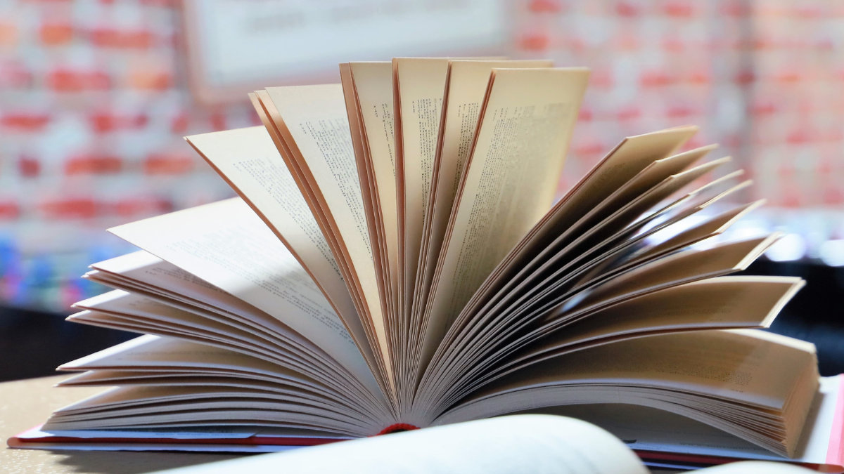 O Festival Literário de Manaus 2025 (Flim) chega à sua quarta edição - Foto: Envato Elements