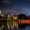 A partir deste sábado, a Árvore de Natal também estará presente na paisagem noturna do Parque do Ibirapuera - Envato