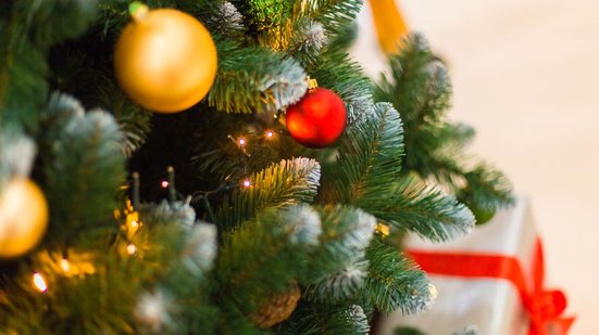 Diversas tendências vêm ganhando força e mostram que a criatividade pode falar mais alto do que a tradição - Foto: Envato Elements