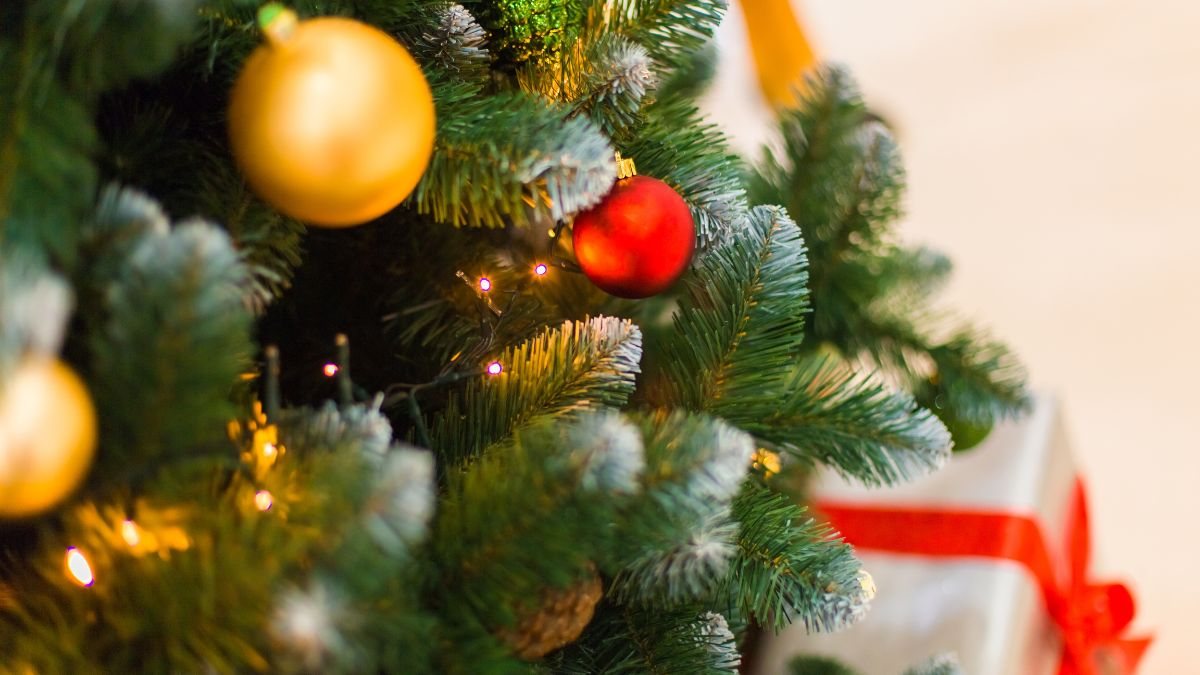 Diversas tendências vêm ganhando força e mostram que a criatividade pode falar mais alto do que a tradição - Foto: Envato Elements