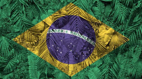 Autoridades do Executivo, Legislativo e do Judiciário poderão se instalar na cidade para suas atividades ao longo da COP30 - Envato