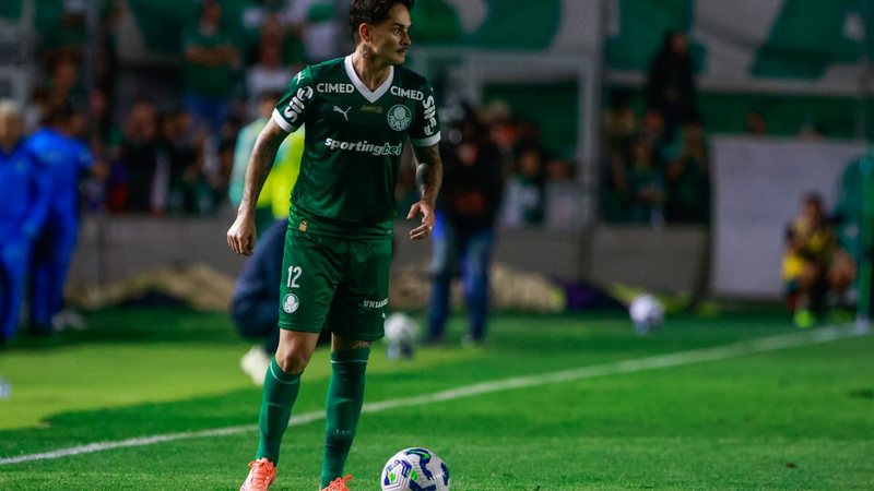 Palmeiras (foto) e Flamengo continuam com amplo favoritismo na busca pelo título nacional - Estadão Conteúdo / Luiz Erves / AGIF