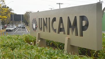 o menos 24 cepas diferentes de vírus foram transportadas entre diferentes unidades - Divulgação / Unicamp
