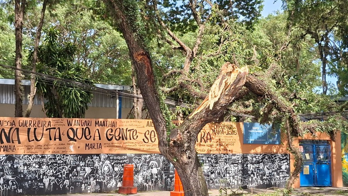 Vendaval provoca queda de árvores pela cidade e deixa mais de 2,2 milhões sem eletricidade, de acordo com informações da Enel - Marcel Naves