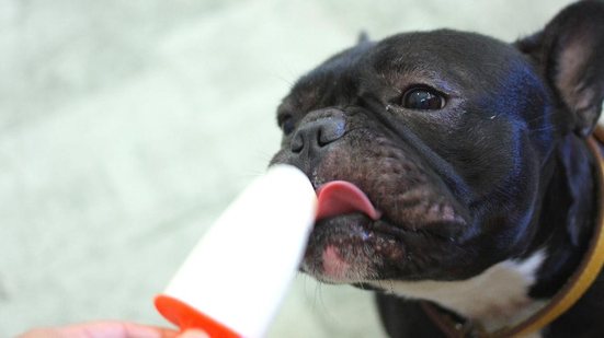 É importante lembrar que podemos oferecer frutas, mas com moderação - Getty Images
