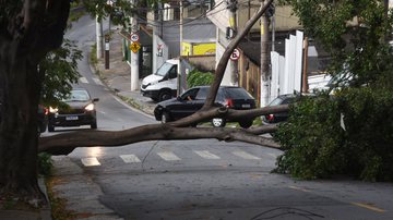 Ciclone extratropical no Sul traz chuvas intensas, ventos fortes e risco de granizo; impactos chegam também às regiões Sudeste e Centro-Oeste. Na segunda-feira, São Paulo já registrou quedas de árvores e transtornos - CELSO LUIX/ATO PRESS/ESTADÃO CONTEÚDO