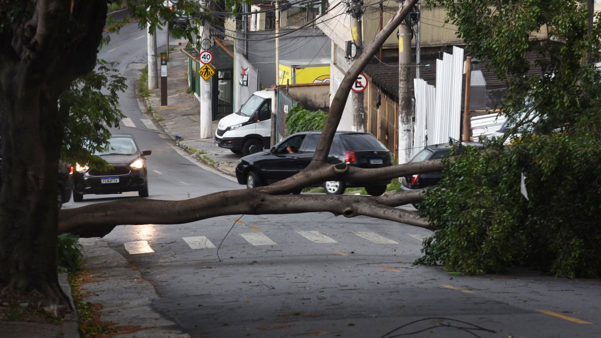 Ciclone extratropical no Sul traz chuvas intensas, ventos fortes e risco de granizo; impactos chegam também às regiões Sudeste e Centro-Oeste. Na segunda-feira, São Paulo já registrou quedas de árvores e transtornos - CELSO LUIX/ATO PRESS/ESTADÃO CONTEÚDO