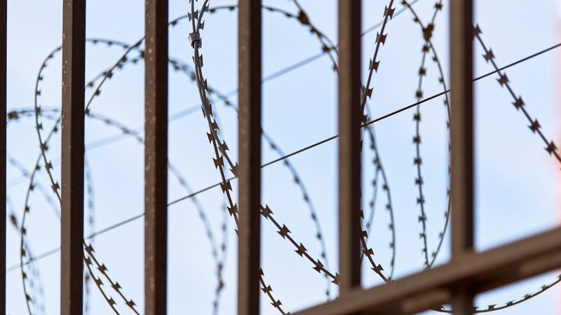 A literatura é ferramenta que amplia horizontes e permite espiar por cima dos muros, defendem ex-internos - Envato